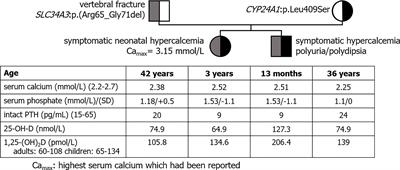 Overlapping Phenotypes Associated With CYP24A1, SLC34A1, and SLC34A3 Mutations: A Cohort Study of Patients With Hypersensitivity to Vitamin D